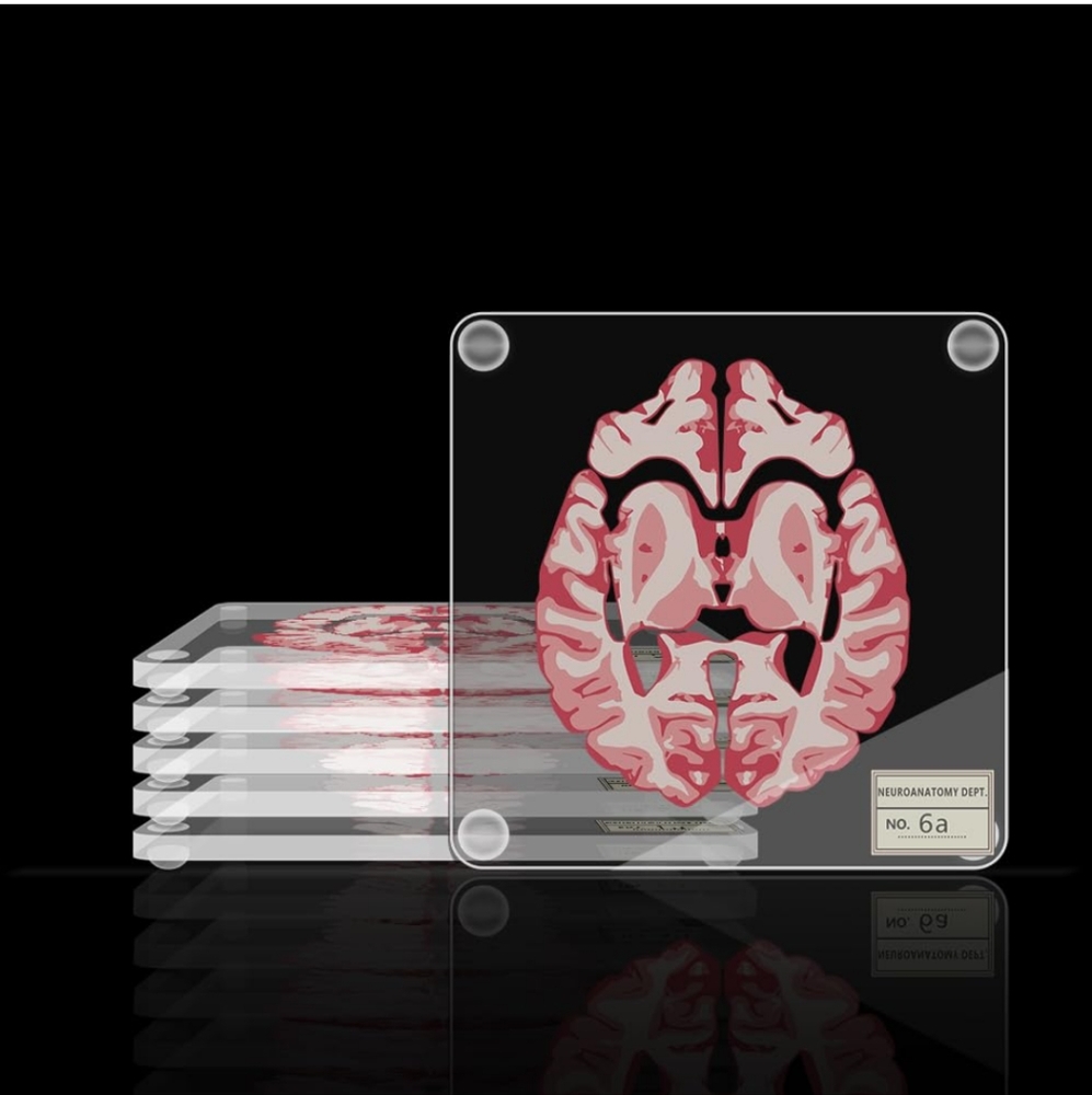 ThinkGeek 3D Brain Specimen Coasters Set of 5 Table Decor Drink Coaster